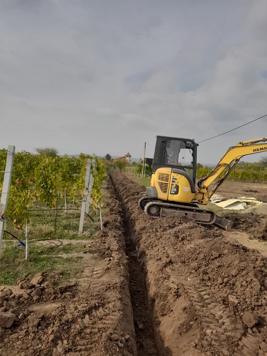 Irigati  vita  de vie   picurare, automatizare , pompe