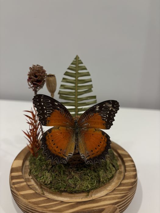 Бабочка в колбе ручная работа