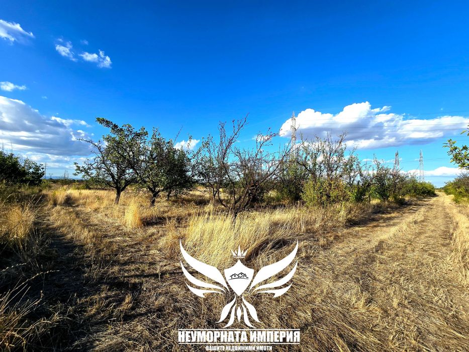 Продава се Парцел в с. Крумово, Област Пловдив - 8000 кв.м за 22 €/кв.м - Снимка #3