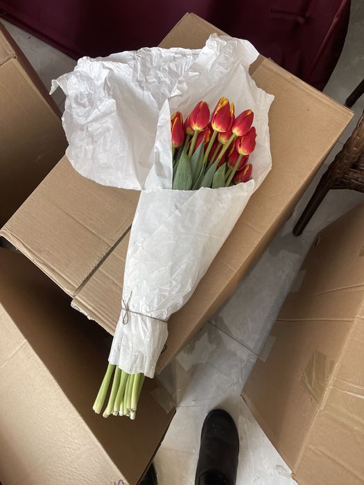 Предзаказ Тюльпанов на 8 марта