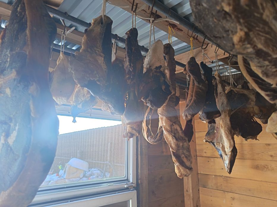 Продам сүр ет. Сушеное конское мясоо