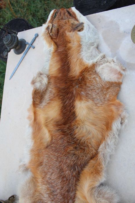 Яка / кожа на лисица