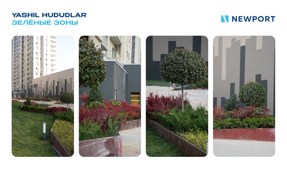 Yakkasaroy tumanida 3 xonali biznes klass xonadon