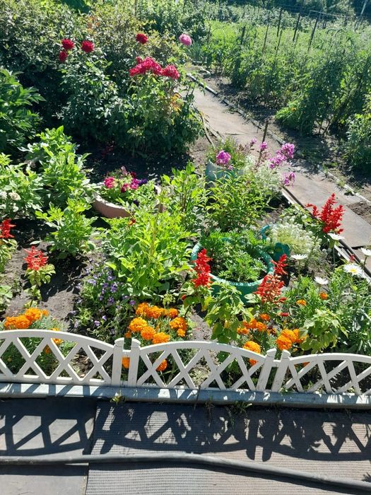 Продам дачу 10 соток