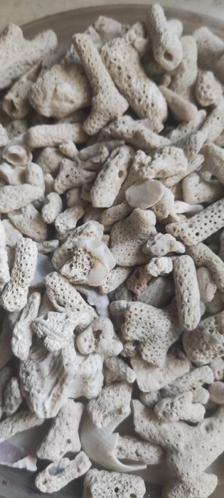 Коралловая крошка (коралловый грунт)