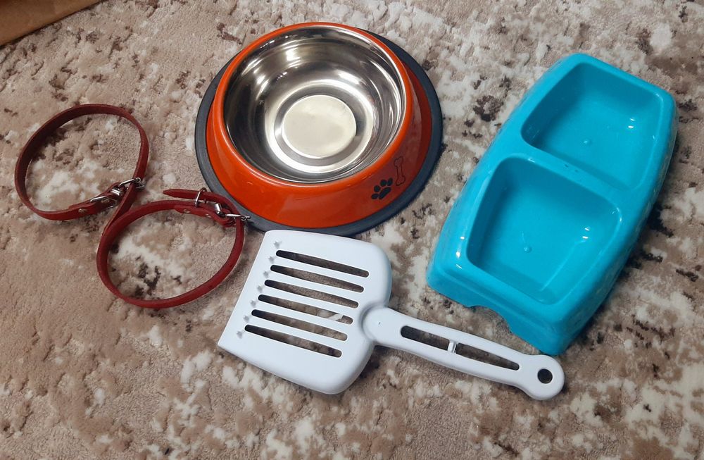 Zgarda caine bol pisica accesorii animale