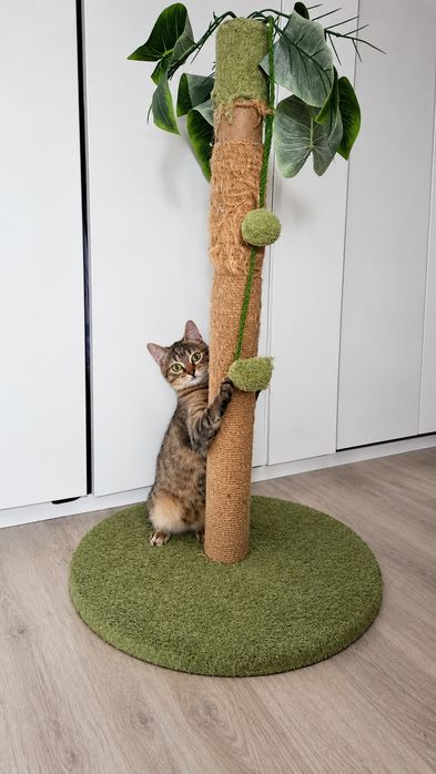 Adoptie pui pisica