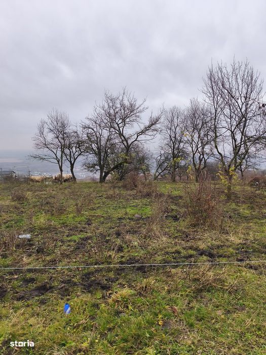 Teren 7721 mp racordat la rețeaua de electricitate