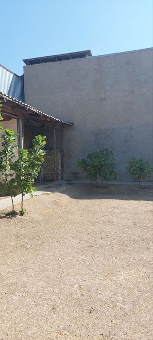 Белтепа Ер уй сотилади Шайхонтохур.