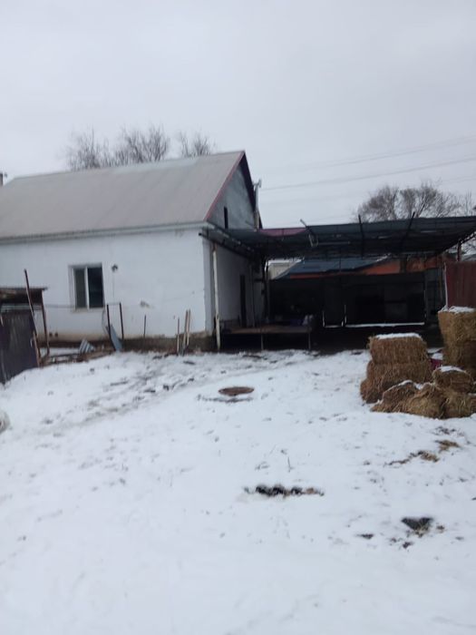 Орталықтан жер үй жалға беріледі