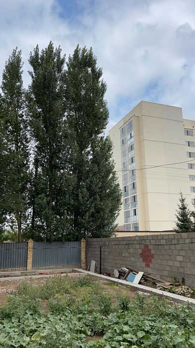 Спилим дерево  распилим на дрова.