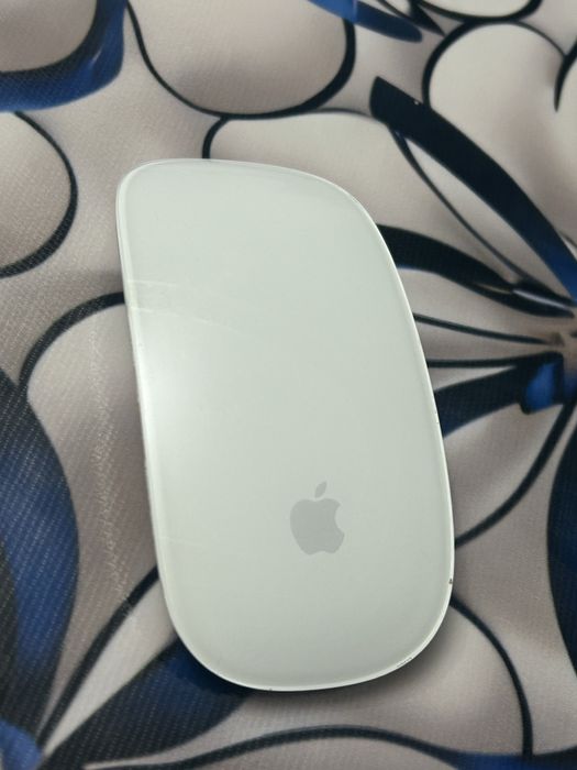 Apple magic mause