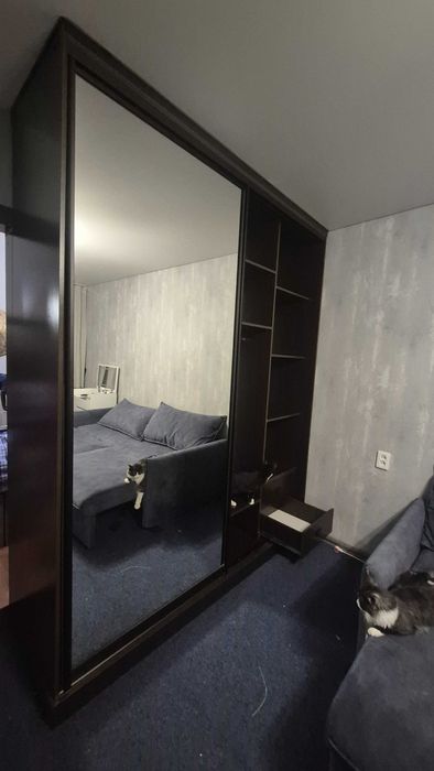 Шкаф-купе с зеркалом