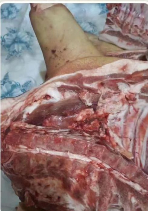 МЯСО Свинины Свежее