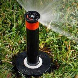 Газон | Gazon | оптом арзон | Landshaft Dizayn