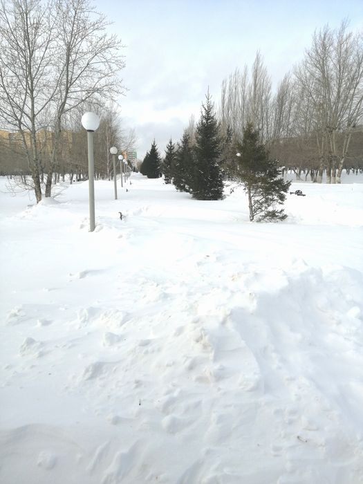 Монеты Таиланда для коллекции