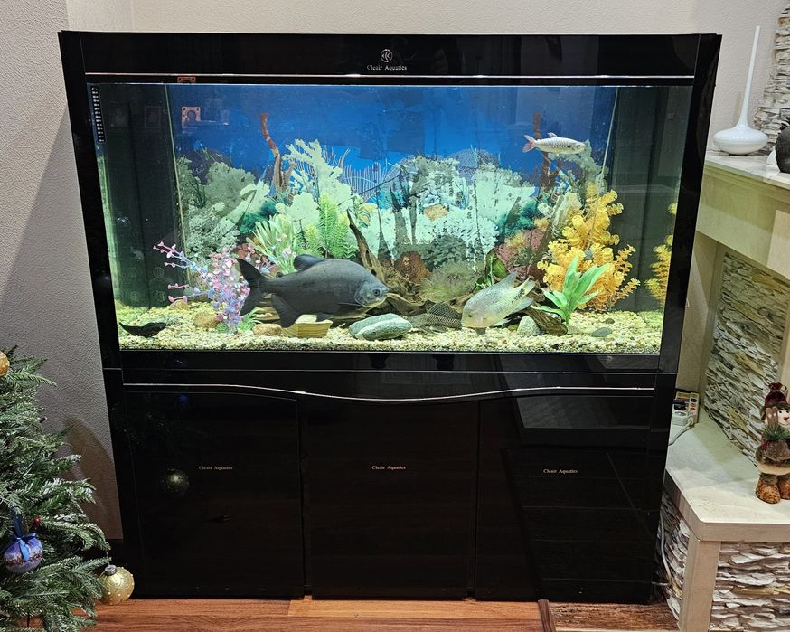 Аквариум Сleair Аquatics