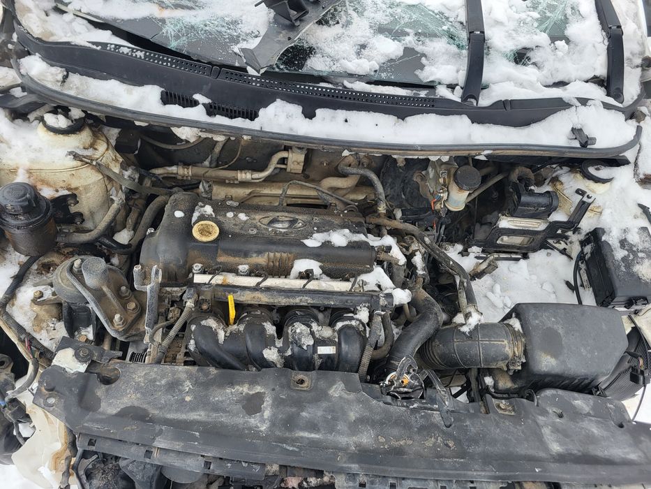 акцент солярис белая