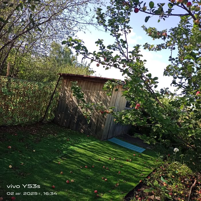 Продам дачу. С/ о "Дружба"