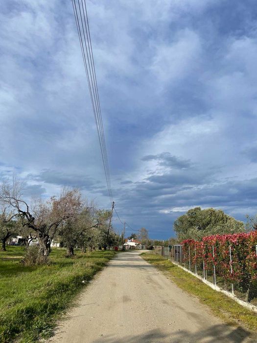 Продава два парцела с обща площ 2222м2 в Паралия Врасна,Северна Гърция