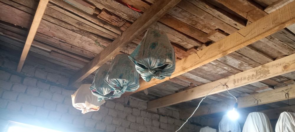 Сайридиган Бедана