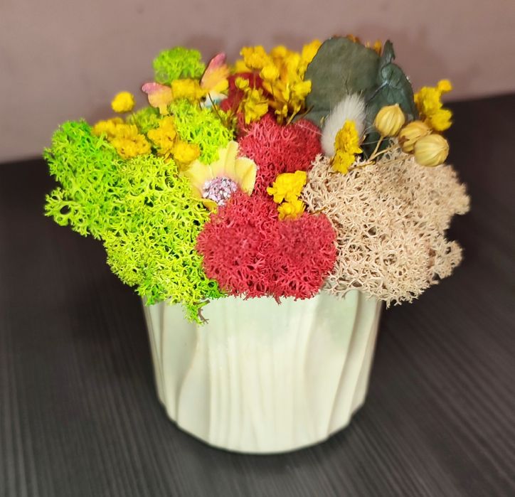 Бурканчета и мини кашпи с естествен скандинавски мъх