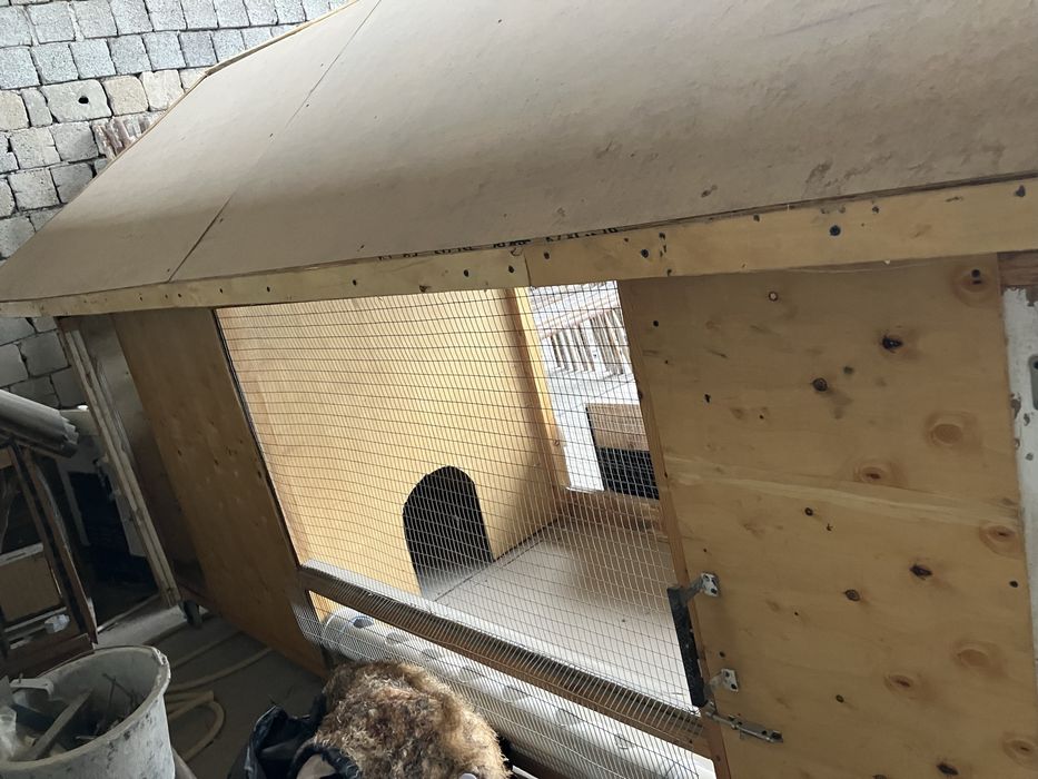 товук катак янги