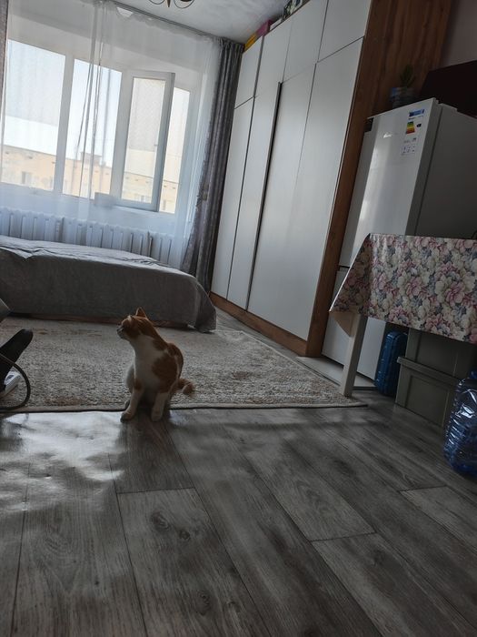 Продам общежитие на Евразий
