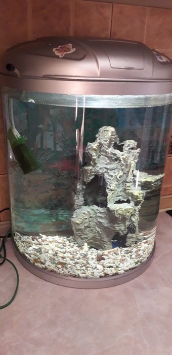 Аквариум панорамный