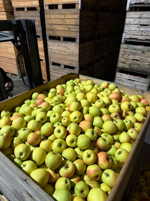 Mere și pere de vânzare