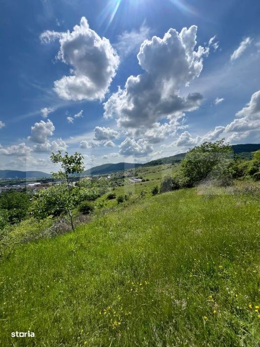 Teren Extravilan de vanzare 3000 m - zona Viisoara