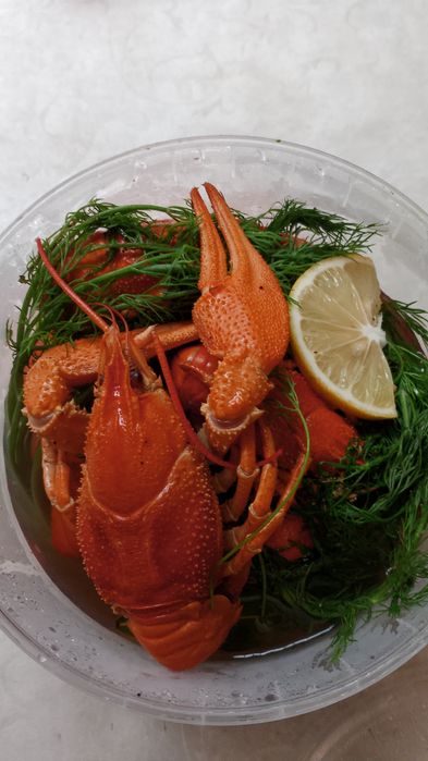 Рак ,опт 700 кг.