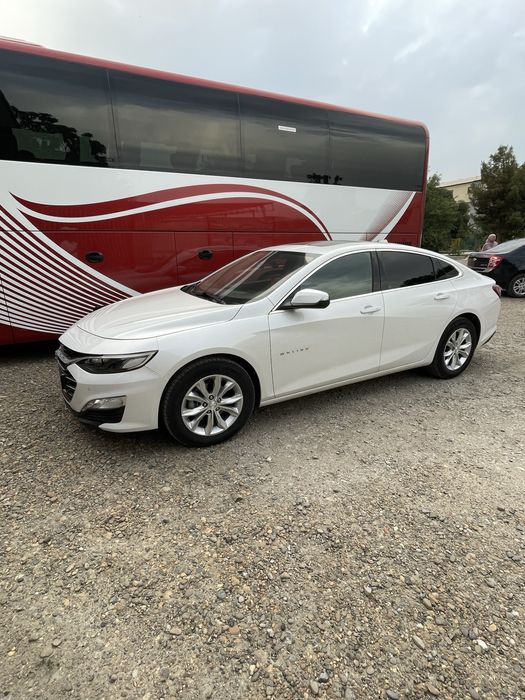 Malibu sotiladi 2020