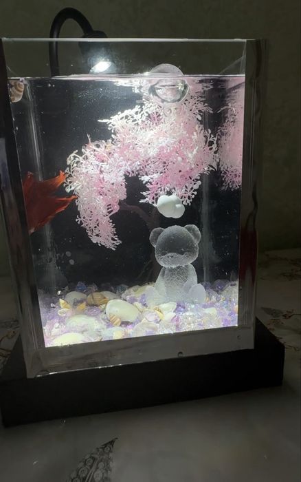 Аквариум + декор + рыба + корм+ фильтр