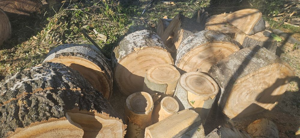 Дрова на продаже