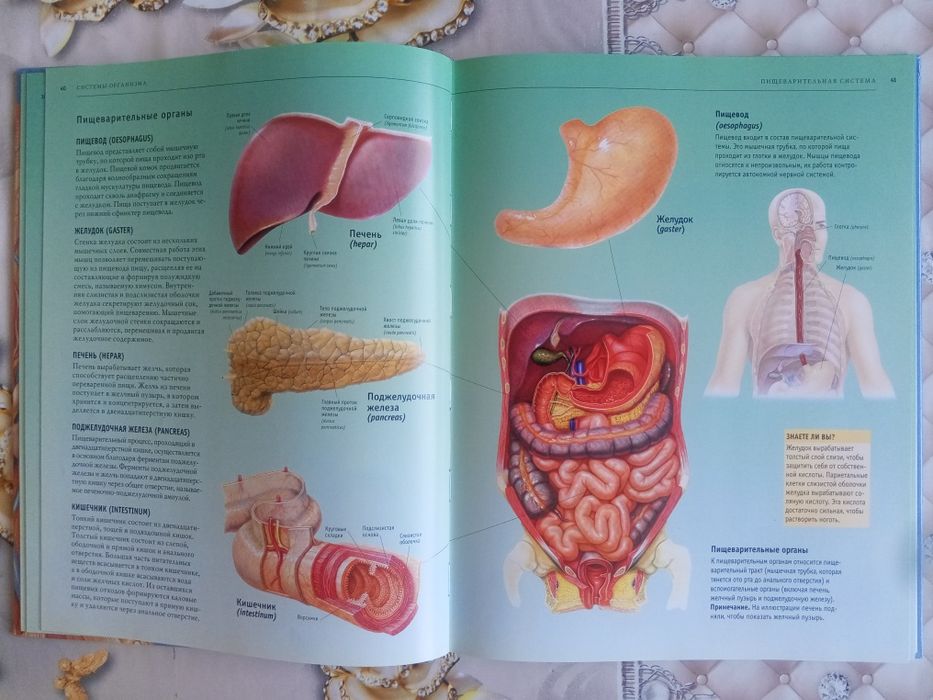 Odam anatomiyasi Atlas Sotiladi