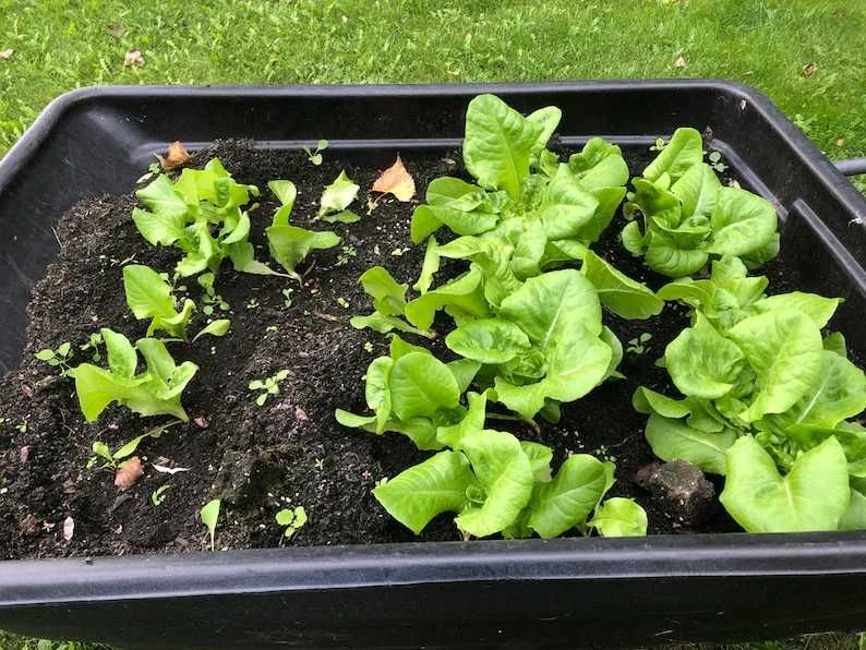 ПРОИЗВЕЖДАМ ОРГАНИЧЕН ДЪРВЕН ОЦЕТ ( Wood Vinegar) - тор за наторяване