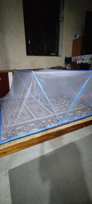 Pashshaxonala xar xilidan