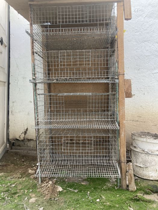 Переполев …………………………………………………………………………………………………………………………..