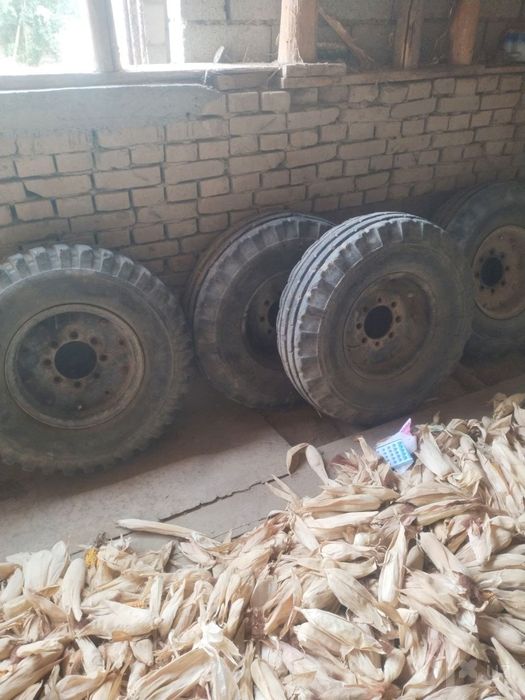 Traktor orqa shinalati va prasep uchun ideal shinalar