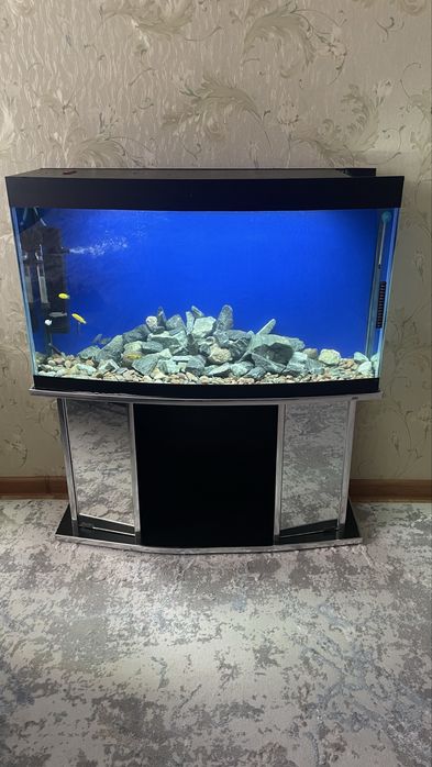 Akvarium 180 L komplekt