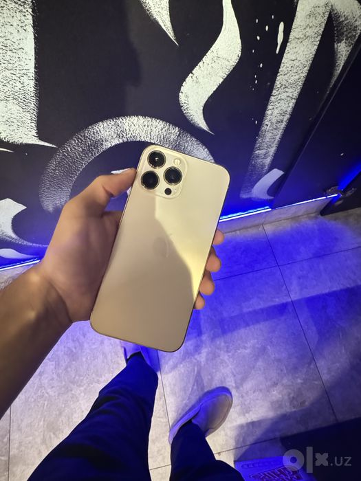 Iphone 13 promax