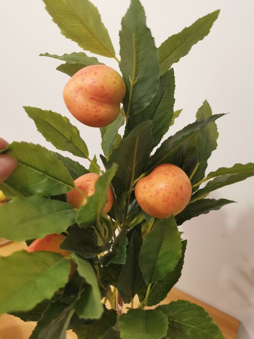 Planta/ copacel decorativ in Ghiveci