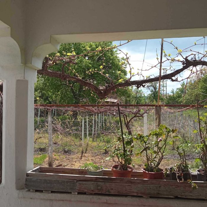 Продава се Къща в с. Дралфа, Област Търговище - 80 кв.м за 415 €/кв.м - Снимка #8