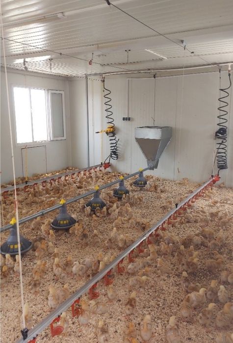 Containere modulare noi pentru locuit sau comerciale