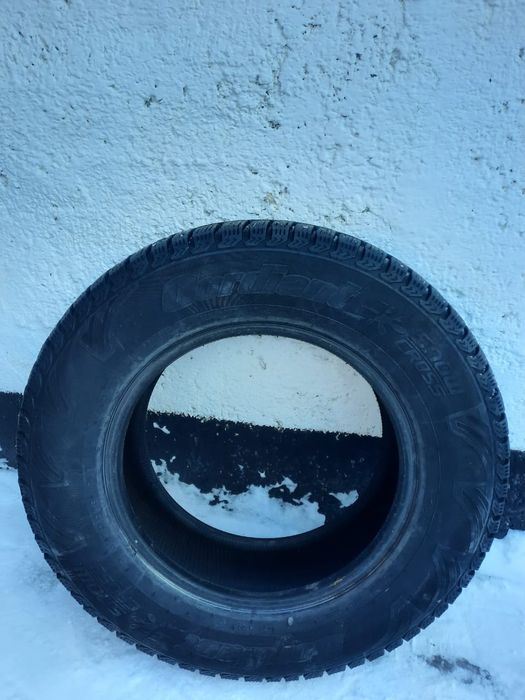 Зимние шипованные шины
