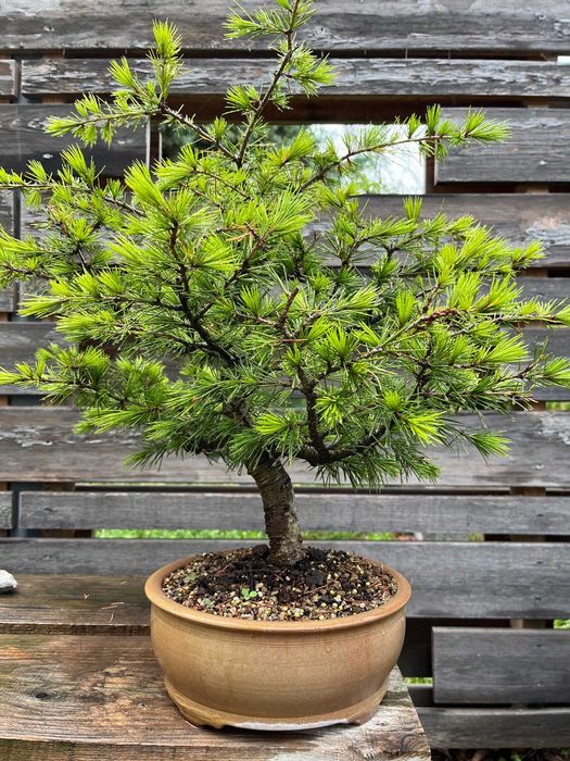 Вулканична Пемза и Лава