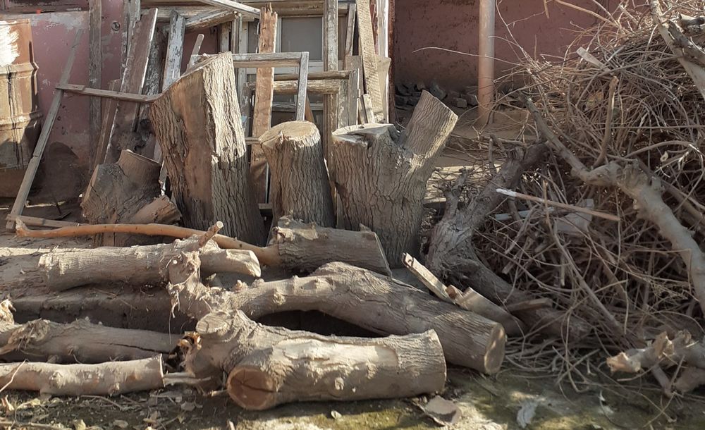 Утин калин катта тут дарахти  хар бири 1 метрдан узун келади кундалар