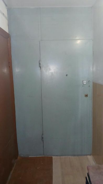 Металлическая дверь