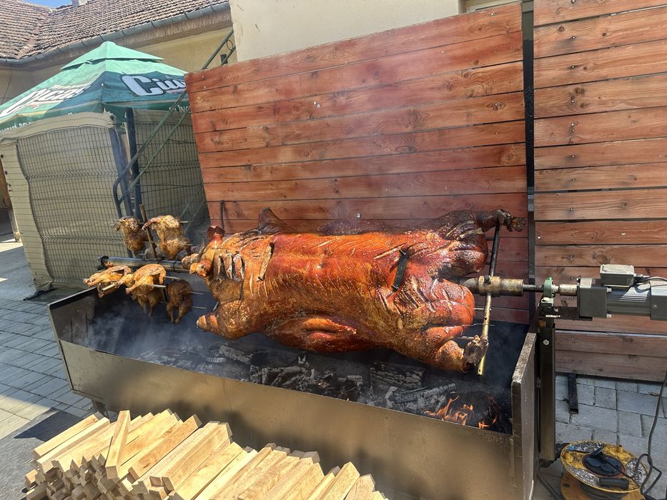 Porc , vitel si oaie facute la protap